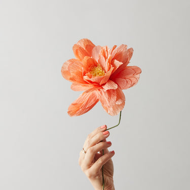 PAPER FLOWER, GRAND PEONY, PEACH, 170480P