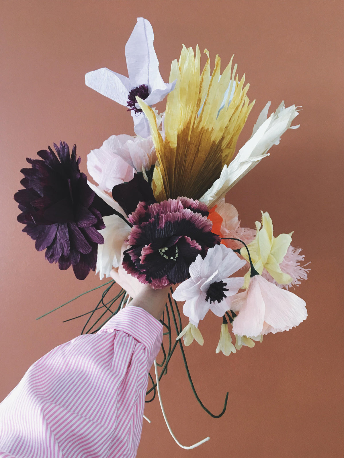 PAPER FLOWER, PALM, OCHRA