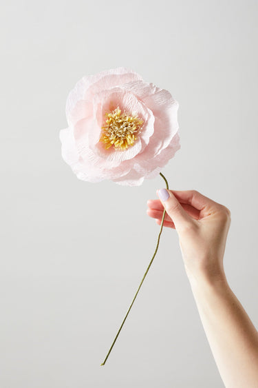 PAPER FLOWER, ICE POPPY, ROSE