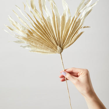 PAPER FLOWER, PALM, SAND