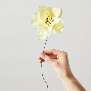 PAPER FLOWER, DAHLIA, YELLOW, 120430Y