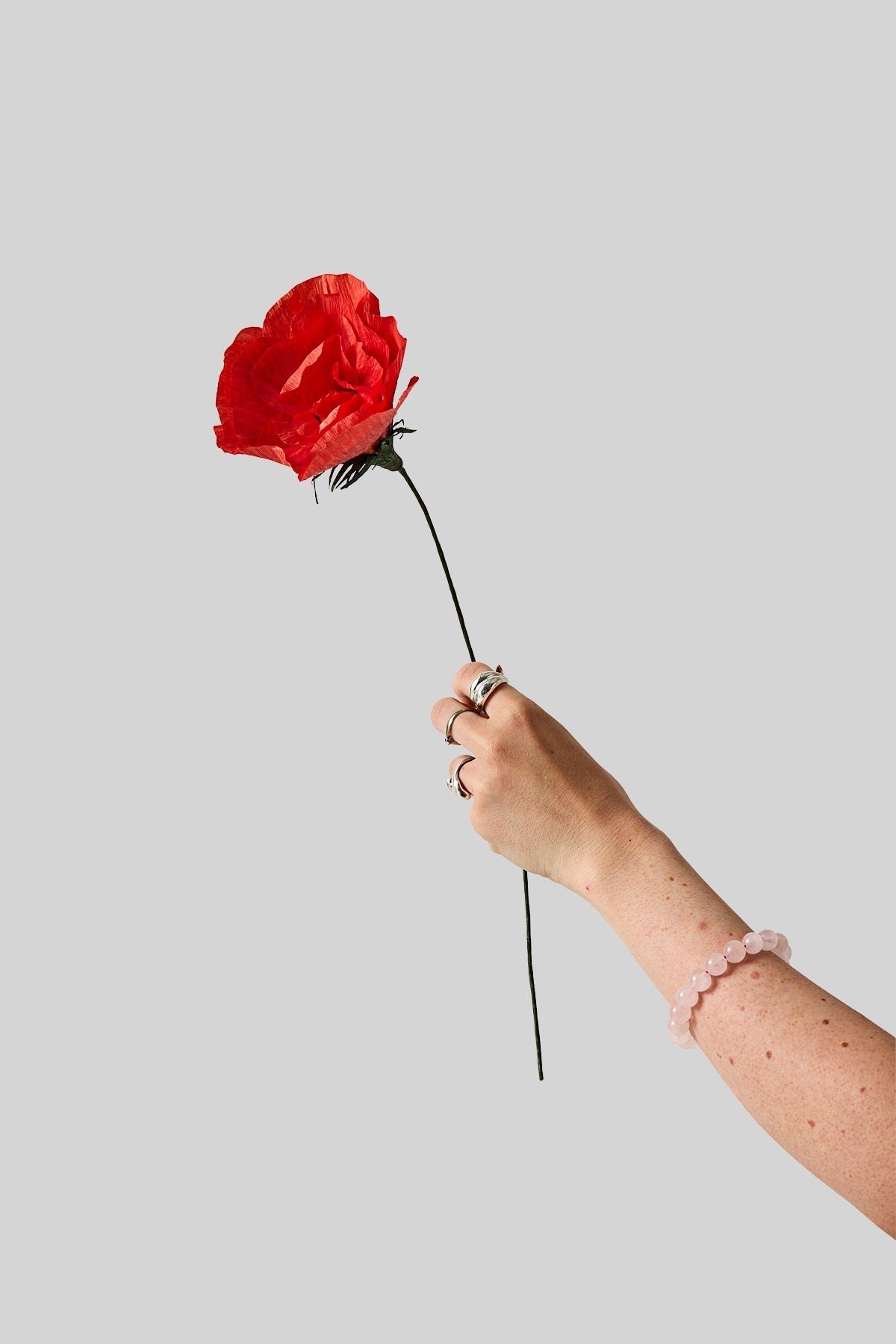 PAPIERBLUME, ALTE SCHULROSE, HELLROT