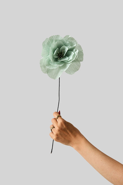 PAPIERBLUME, ROSA LA PALOMA GRANDE, MINT