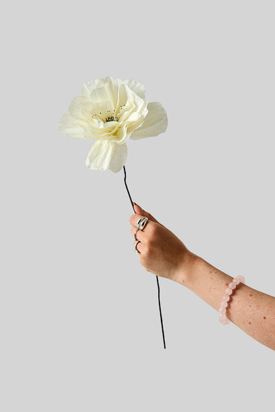 PAPIERBLUME, ROSA LA PALOMA GRANDE, SAND