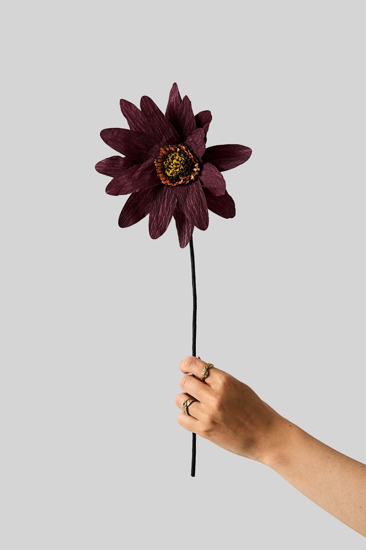 PAPIERBLUME, SONNENBLUME, BORDEAUX