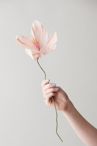 PAPIERBLUMEN, LILIE, ROSA