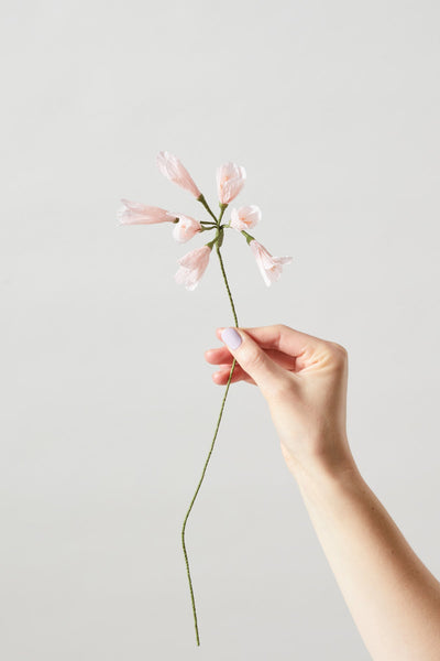 PAPIERBLUMEN, AFRIKANISCHE LILIE, ROSA