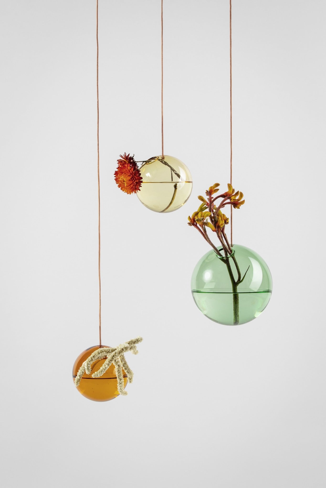 hanging bubble plant HANGING FLOWER BUBBLE, MEDIUM, BRANCH