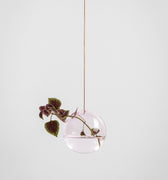 HANGING FLOWER BUBBLE, MEDIUM, ROSE