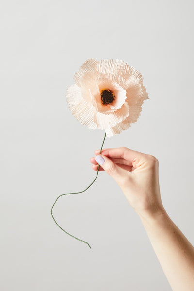 PAPIERBLUMEN, PFINGSTROSE, NUDE