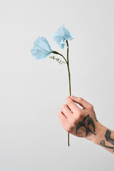 PAPER FLOWER, MORNING GLORY, BLUE