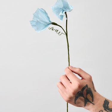 PAPER FLOWER, MORNING GLORY, BLUE, 80430B