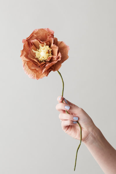 PAPER FLOWER, ICE POPPY, DARK OCHRE