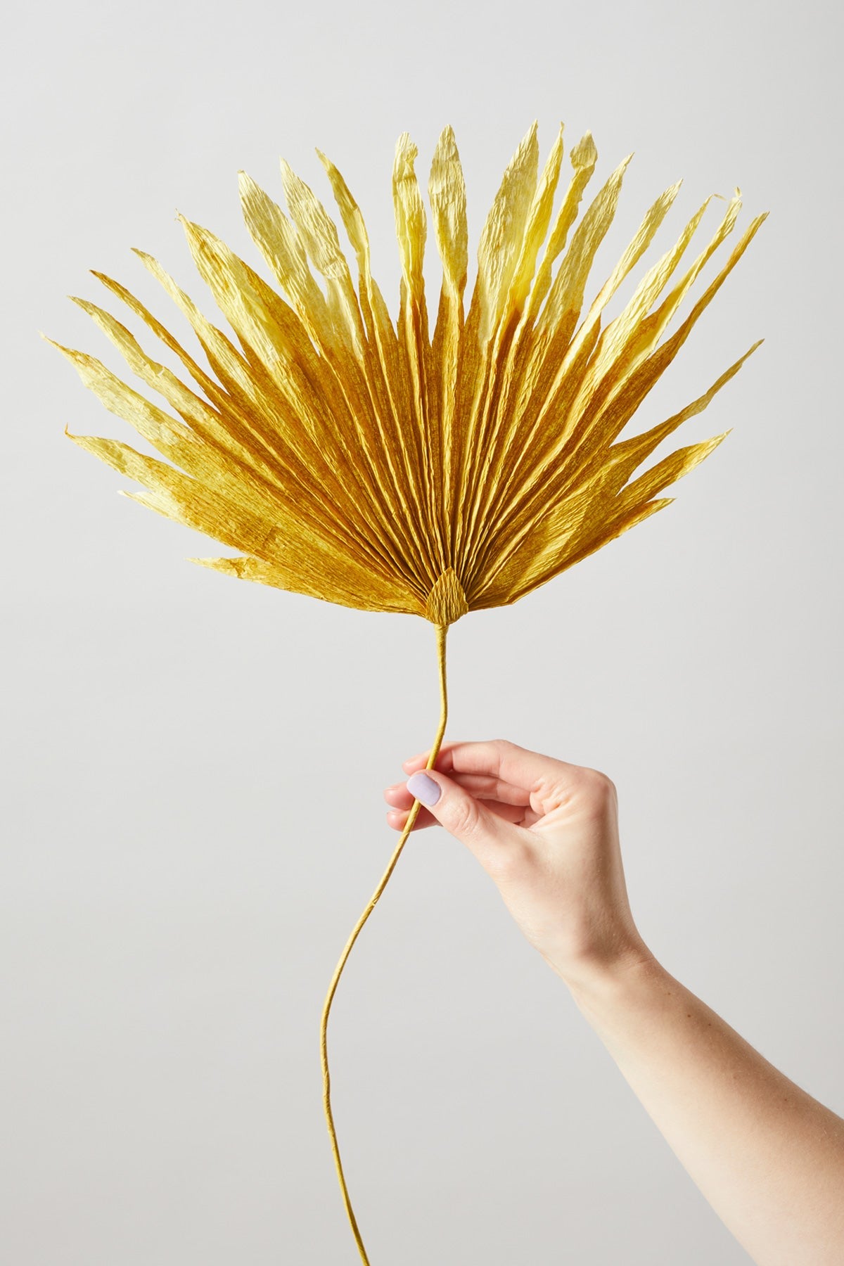 PAPER FLOWER, PALM, OCHRE