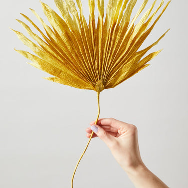 PAPER FLOWER, PALM, OCHRA