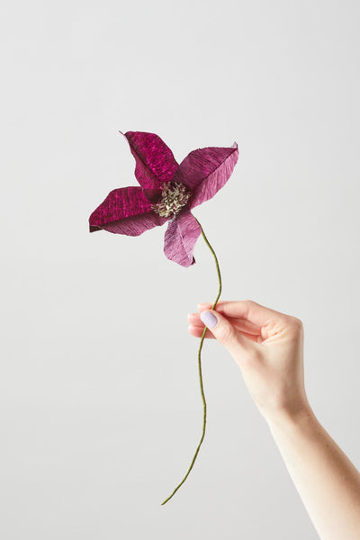 PAPER FLOWER, CLEMATIS, AUBERGINE