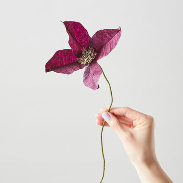 PAPER FLOWER, CLEMATIS, AUBERGINE, 150440A