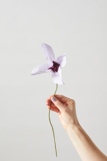 PAPER FLOWER, CLEMATIS, PURPLE