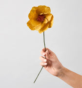 PAPER FLOWER, WINDFLOWER, OCHRE