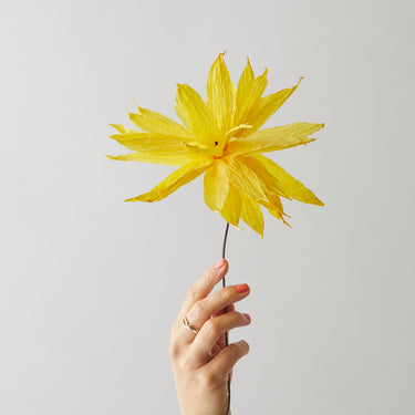 PAPER FLOWER, SHOOTING STAR, YELLOW