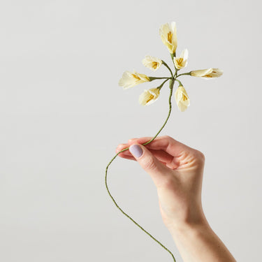 PAPER FLOWER, AFRICAN LILY, YELLOW, 100430Y