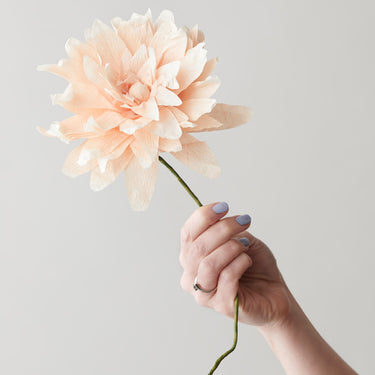 PAPER FLOWER, GRAND DAHLIA, NUDE, 160460N