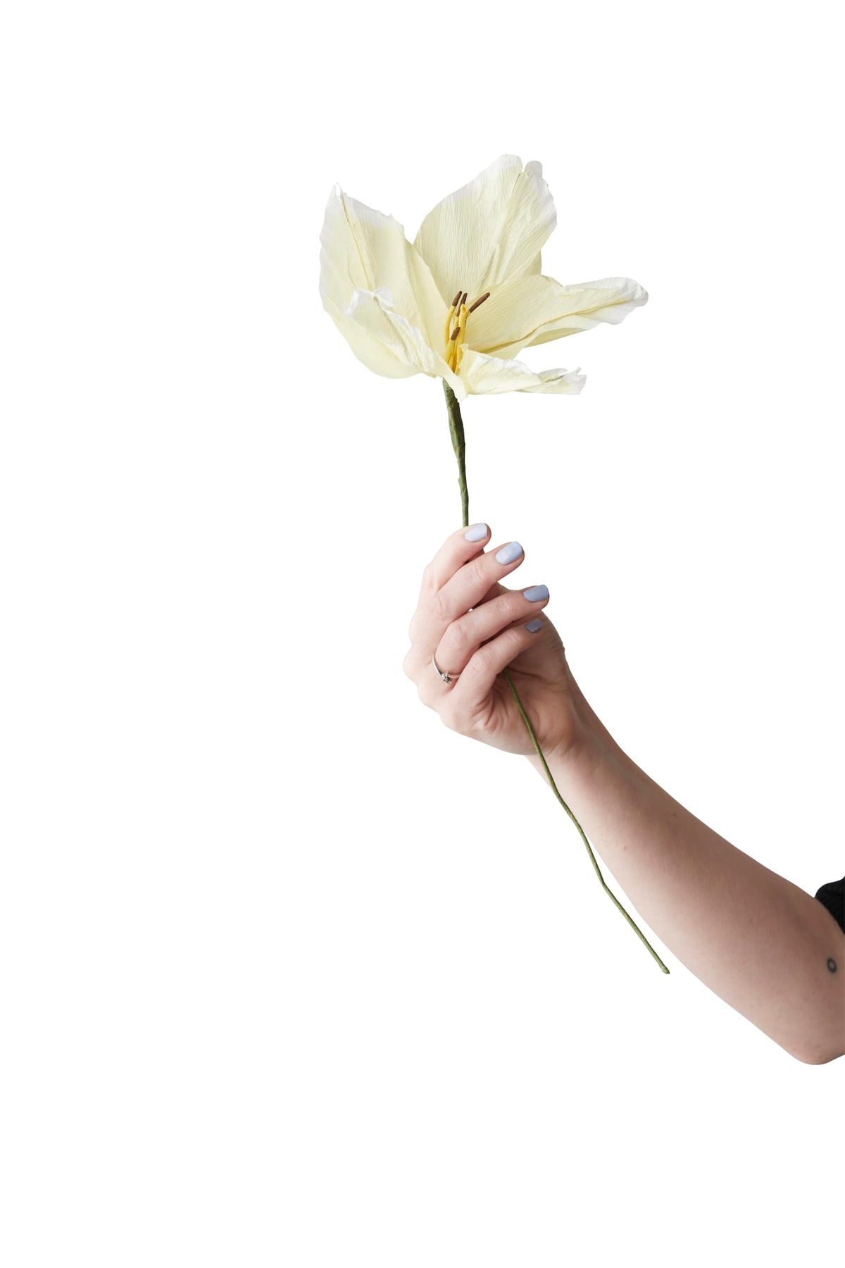 PAPER FLOWER, LILY, YELLOW, 200450Y