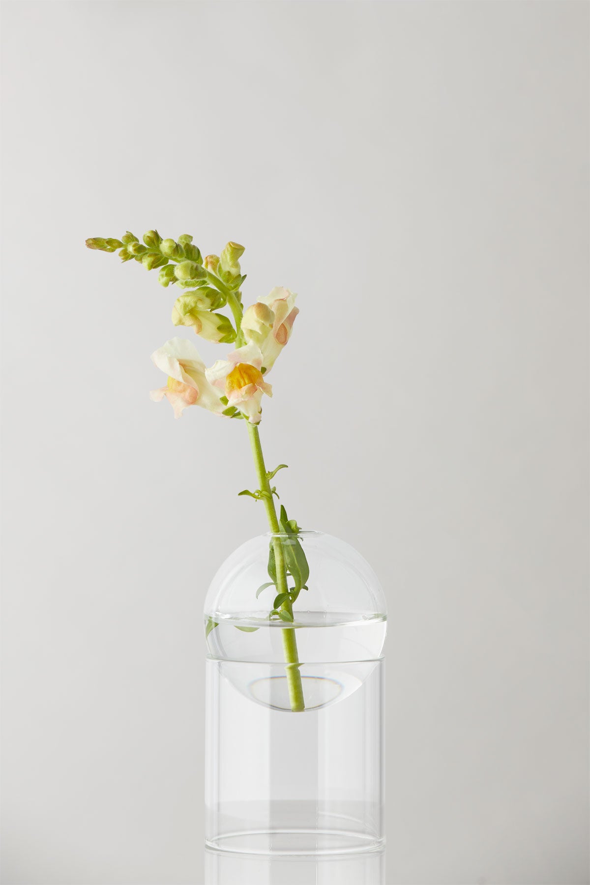 STANDING FLOWER BUBBLE, TALL TUBE, TRANSPARENT, 802080T