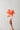 PAPER FLOWER, GRAND PEONY, PEACH, 170480P